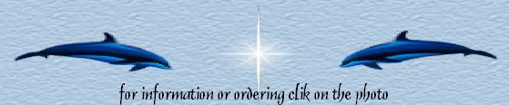 for information or ordering clik on the photo