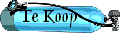 Te Koop